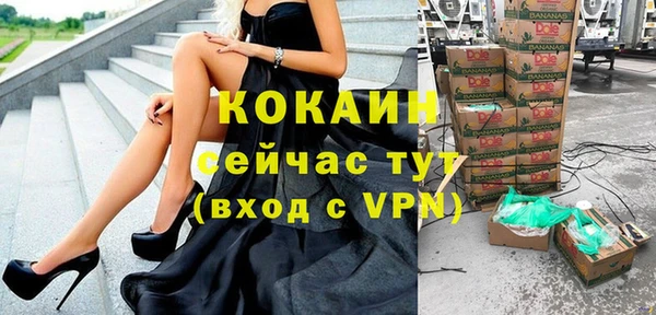Альфа ПВП Лагань