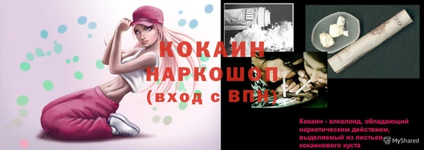 спиды Лиски