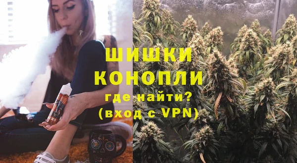 Альфа ПВП Лагань