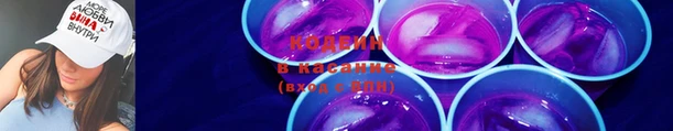 сатива Лабытнанги