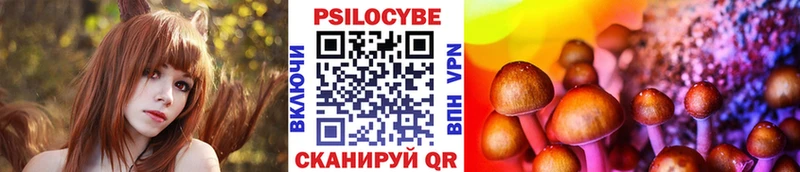 Псилоцибиновые грибы Psilocybine cubensis  где купить наркоту  Подольск 