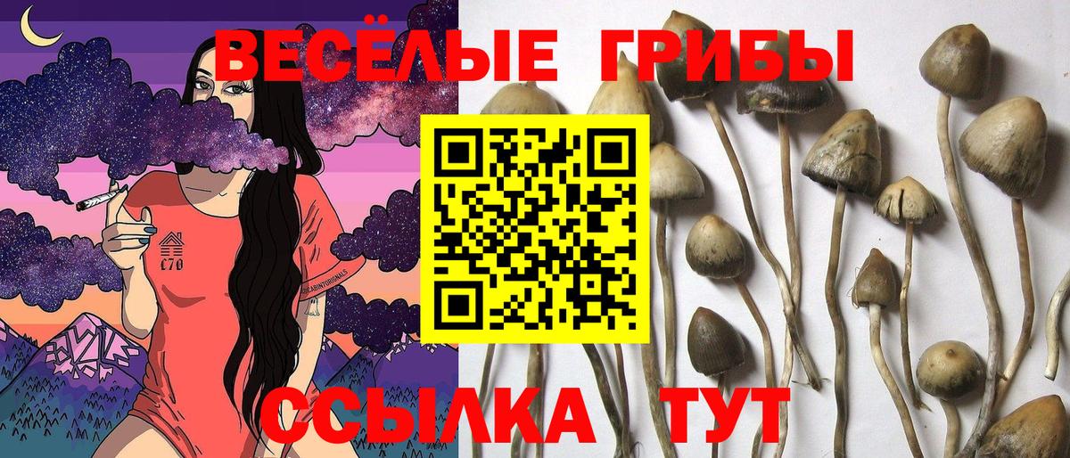 Галлюциногенные грибы мицелий  Галлюциногенные грибы ЛСД  Вход с VPN  Подольск 