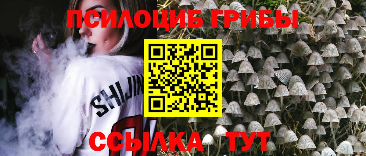 Псилоцибиновые грибы мицелий Подольск